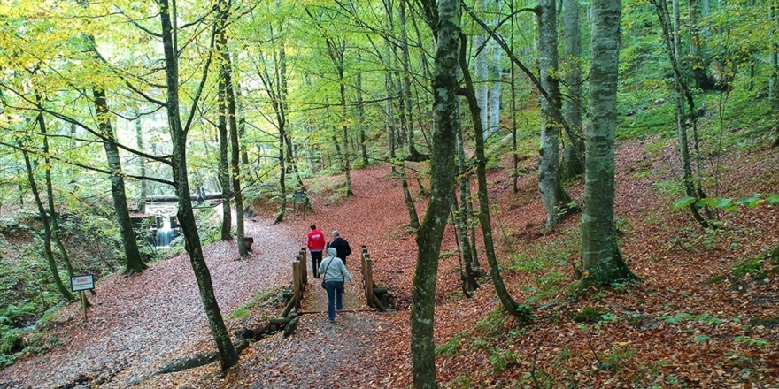 Milli Parklara Ziyaretçi Akını
