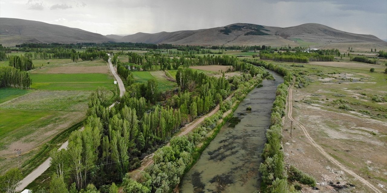 Orman Teşkilatı Geçen Yıl 36 Bin 88 Hektarda Erozyon Çalışması Yaptı