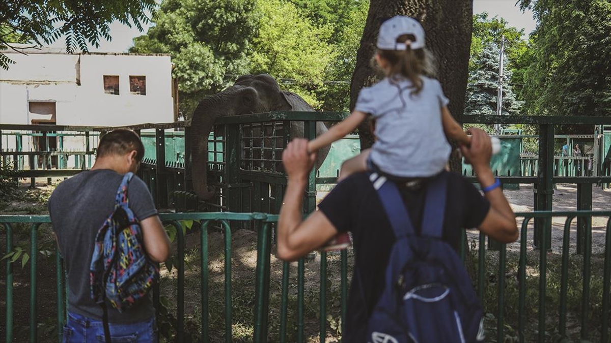 Odessa'da Babalar Günü Savaş Gölgesinde Kutlandı