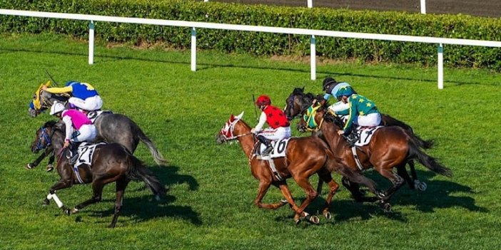 97. Gazi Koşusu'nun atları belli oldu