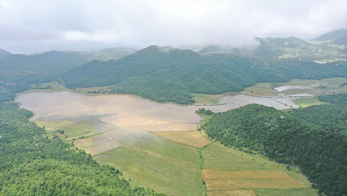 Kahramanmaraş'ta Su Taşkını Tarım Arazilerine Zarar Verdi