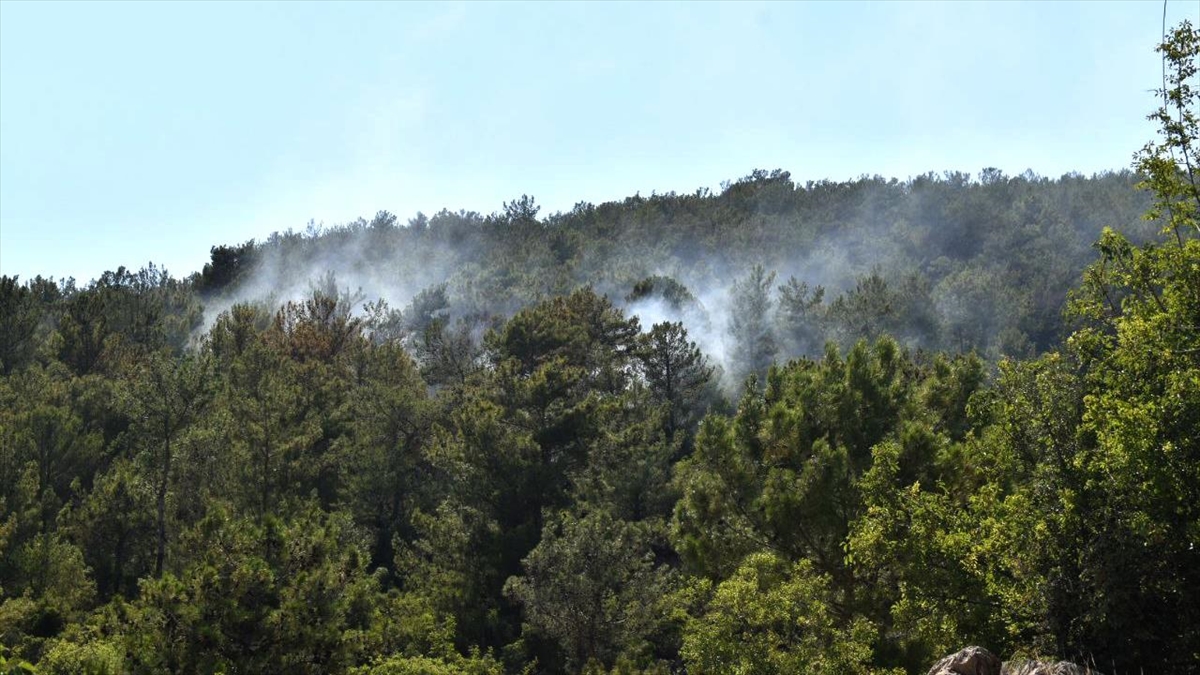Mersin'de Çıkan Orman Yangını Kontrol Altına Alındı