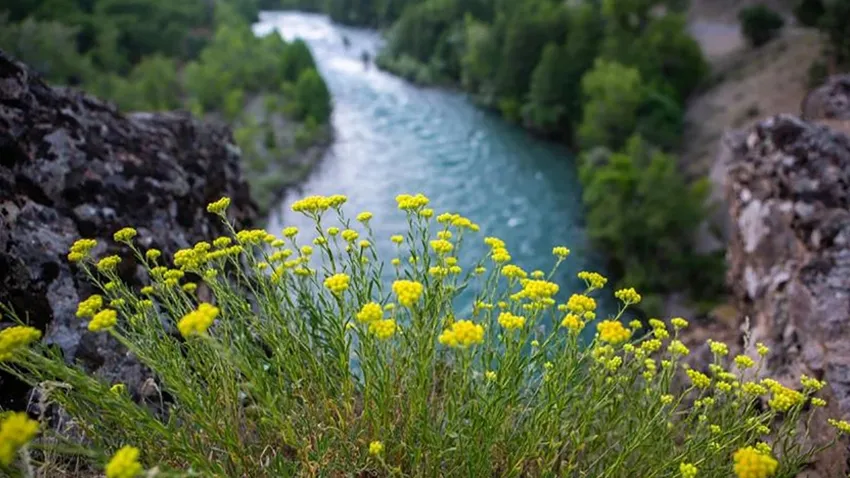 Tunceli'de piknik ve kamp yapmak yasaklandı