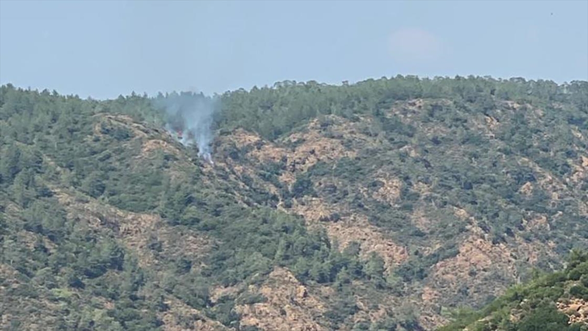 Marmaris'te Çıkan Orman Yangını Söndürüldü