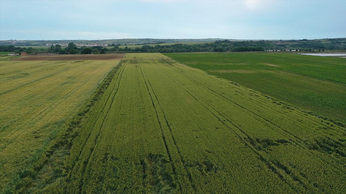 Türkiye'de Tarımsal Kuraklık Riski İnternetten İzlenebilecek