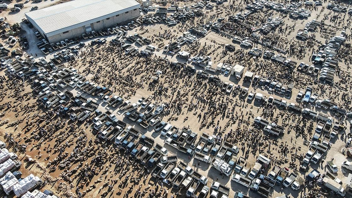 İdlib'de Kurulan Kurban Pazarlarında Hareketlilik Başladı