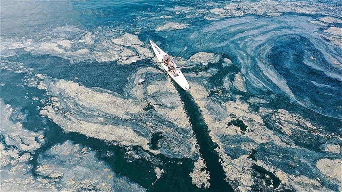 Sıcaklık Artarsa Marmara'da Müsilaj Tetiklenebilir