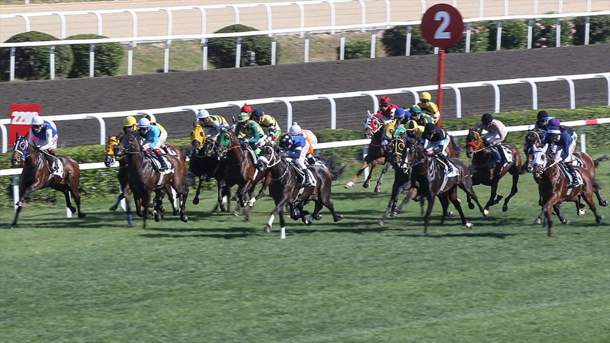 At Yarışlarında Gazi Koşusu Heyecanı