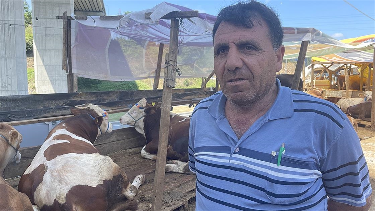 İstanbul'da Kurban Pazarlarında Üreticiler Satışlardan Memnun