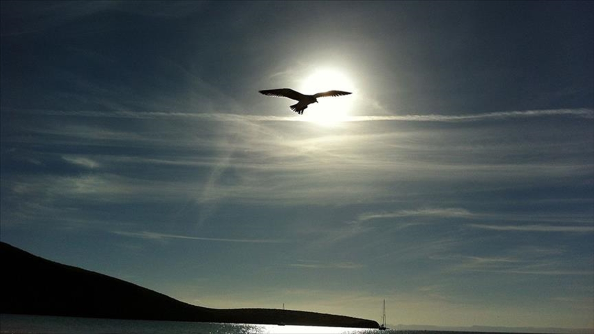 Kuzey Atlantik'teki Aşırı Isınma Ve El Nino Etkisi, Yeni Sıcaklık Rekorlarına Yol Açabilir