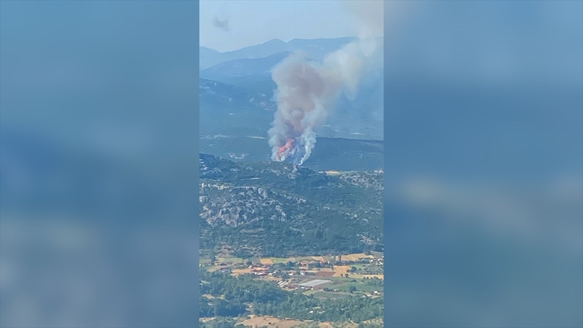 Muğla'da Ormanlık Alanda Yangın Çıktı