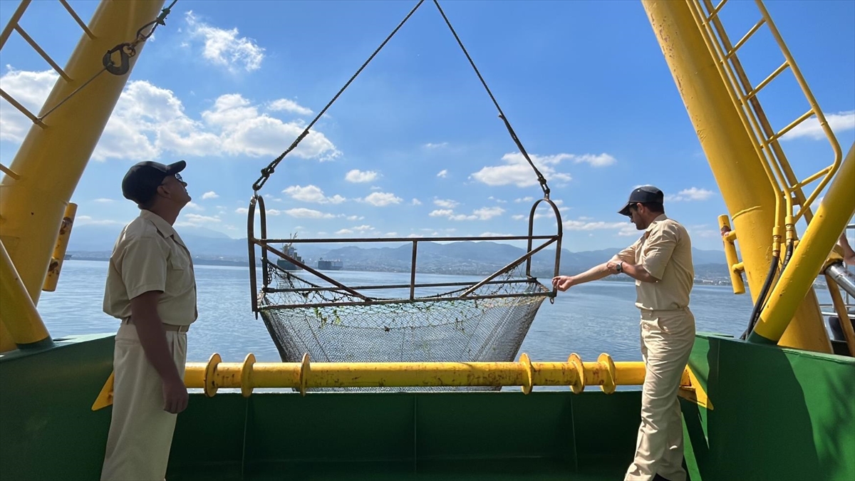 İzmit Körfezi'ndeki Dip Çamuru Temizliğinin Katkıları Biyoçeşitliliğin Belirlenmesiyle Görülecek