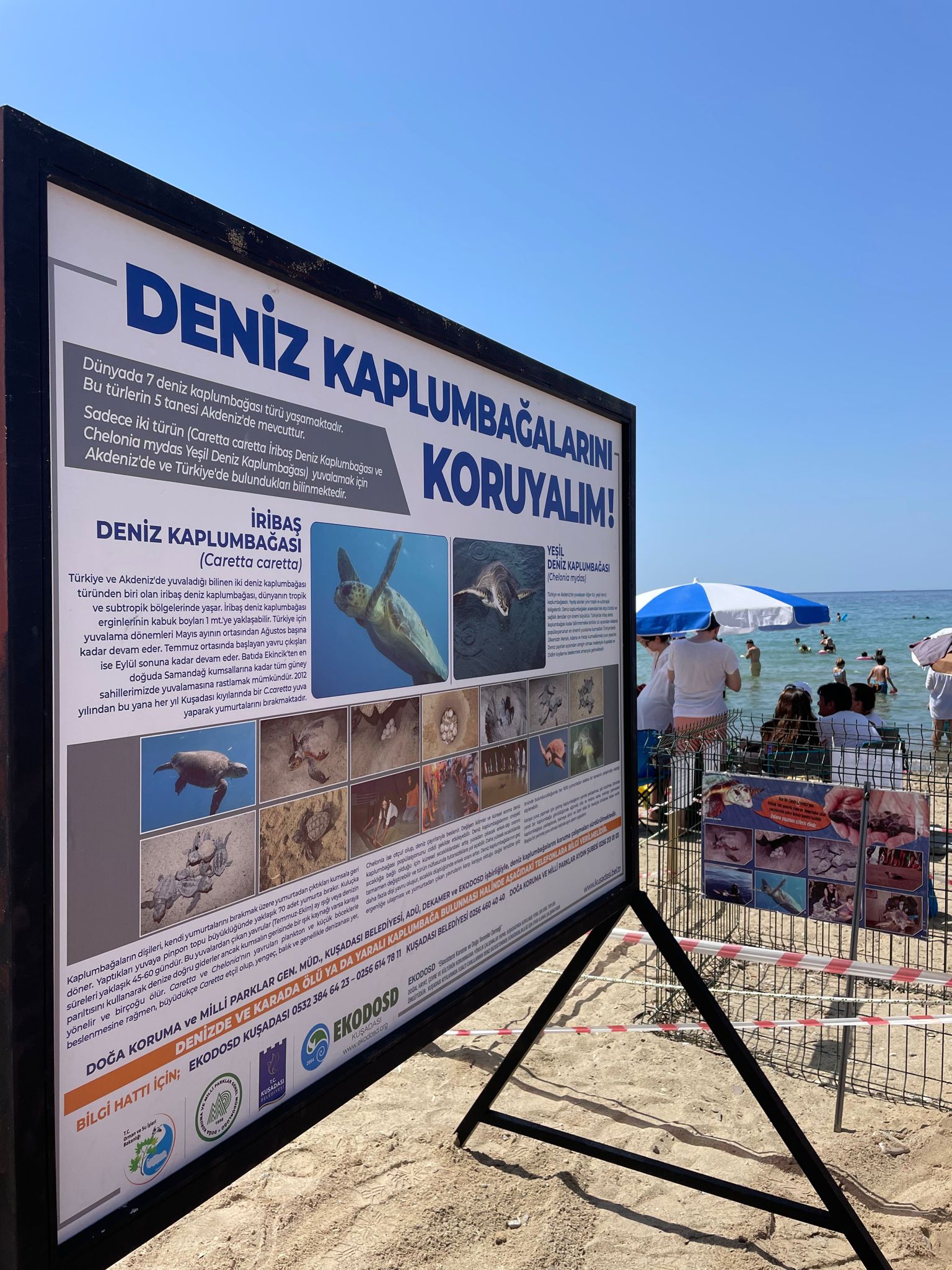 KUŞADASI BELEDİYESİ’NDEN CARETTA CARETTA YUVALARI İÇİN BİR ÖNLEM DAHA