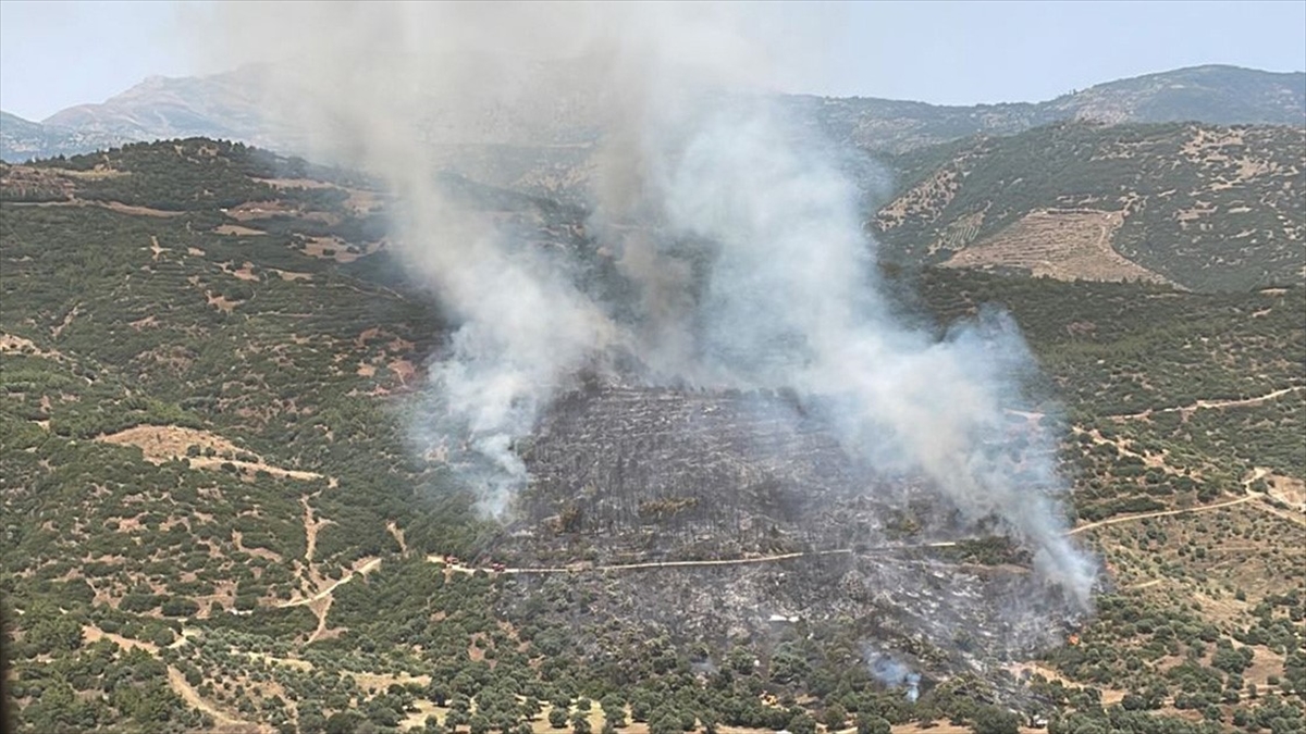 İzmir'de Orman Ve Makilik Alanlarda Çıkan Yangınlara Müdahale Ediliyor