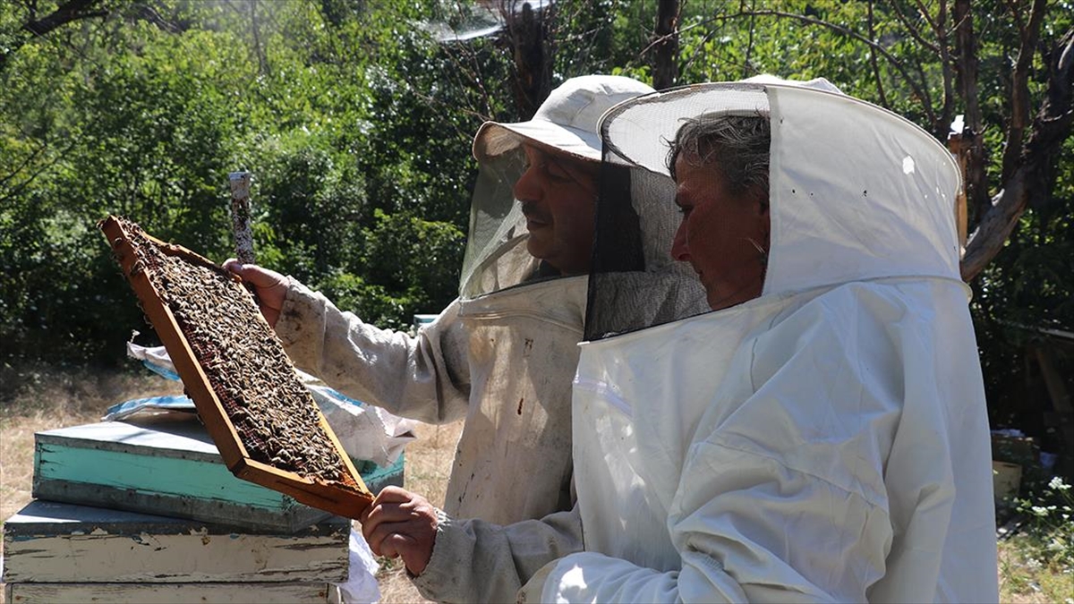Turistik İlçedeki Çiftlikte Üretime Gönüllü Katılıp Masrafsız Tatil Yapıyorlar