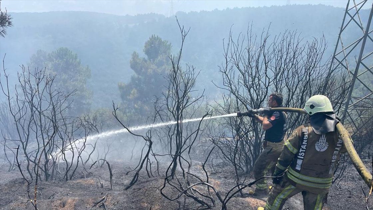 Sultangazi'de Ormanlık Alanda Yangın Çıktı
