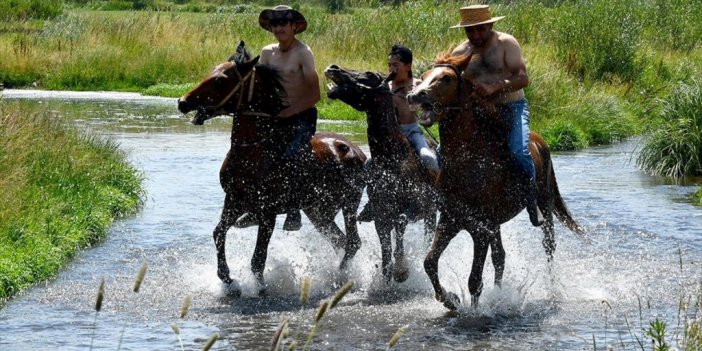 Kars'ta Sıcaktan Bunalan Atlar Derede Serinletiliyor
