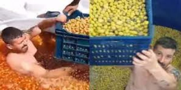 Zeytin alırken 1000 Defa Düşünün! Çırıl çıplak fıçıya girdi...