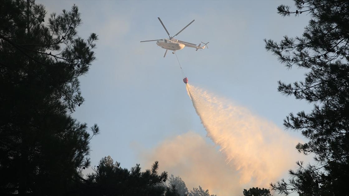 Sakarya'da Ormanlık Alanda Çıkan Yangın Kontrol Altına Alındı