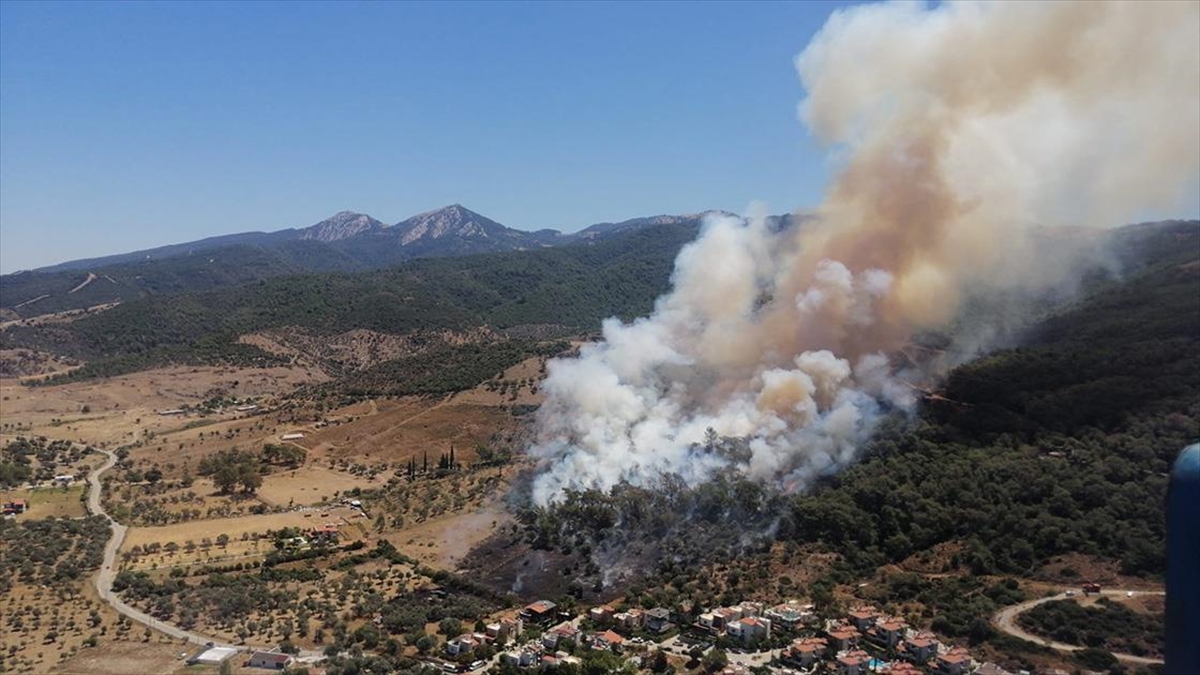 İzmir'in Güzelbahçe İlçesinde Orman Yangını Çıktı