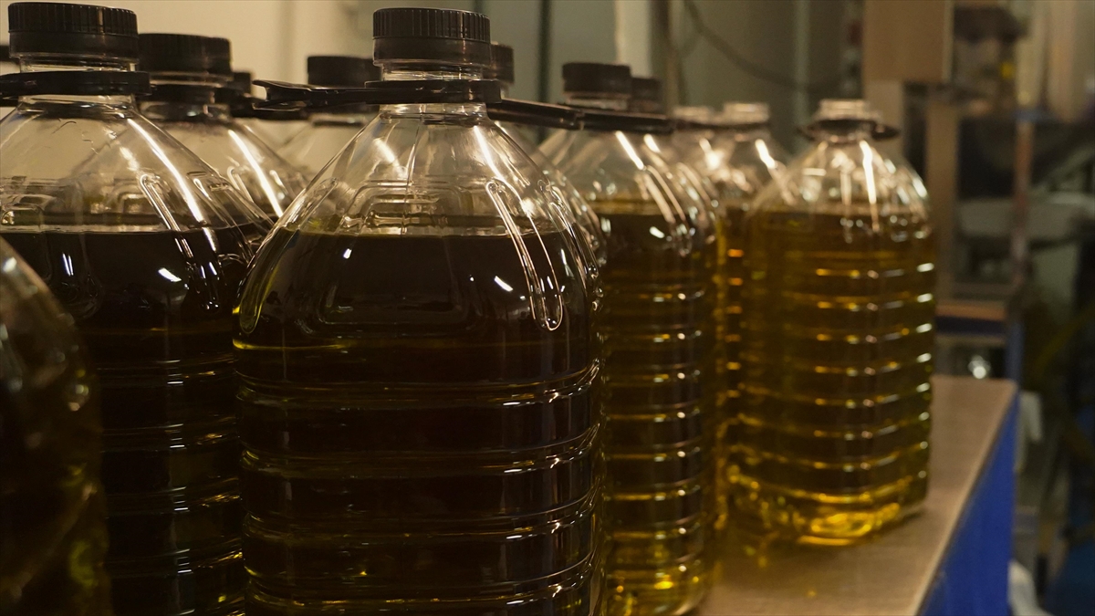 Ticaret Bakanlığı, Zeytinyağı İhracatına Yönelik İlave Tedbirlerin Yürürlüğe Konulduğunu Bildirdi