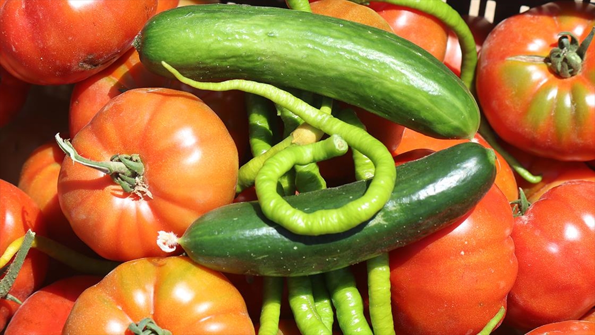 Karaman'da Ata Tohumlarından Üretilen Sebze Ve Meyveler İhtiyaç Sahiplerine Ulaştırılıyor