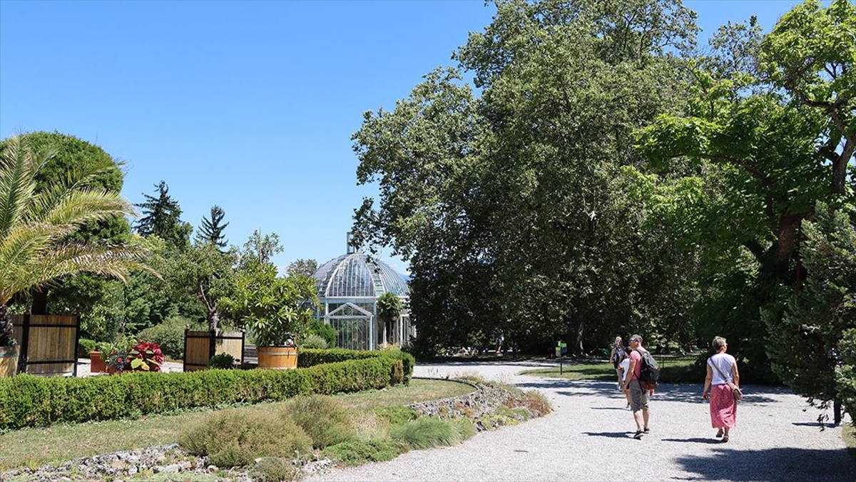 Cenevre'nin Binlerce Bitki Türüne Ev Sahipliği Yapan İki Asırlık Botanik Bahçesi