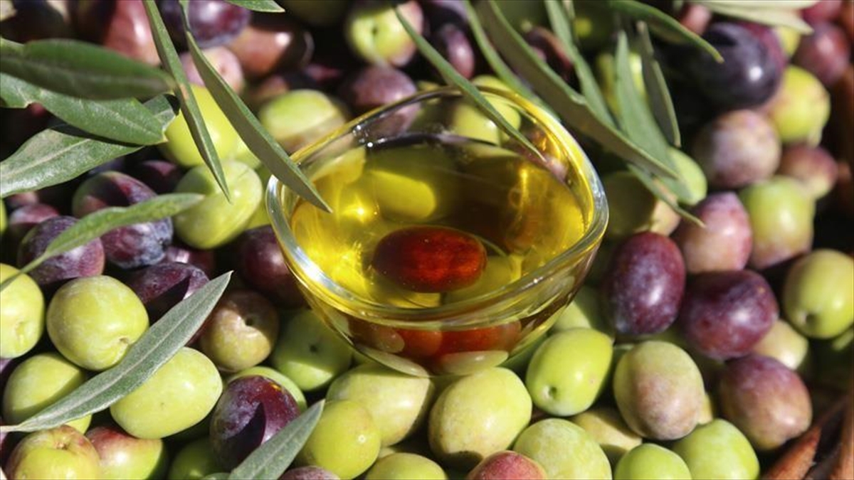 Aşırı Sıcaklar Dünya Zeytinyağı Üretim Tahminlerini 5 Yılın En Düşük Seviyelerine Çekti