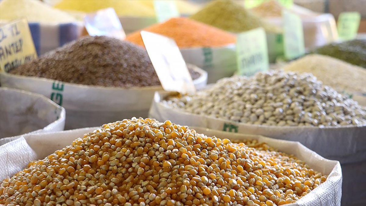 Hububat Bakliyat Yağlı Tohumlar Ve Mamulleri İhracatı 7 Ayda 6,9 Milyar Dolara Ulaştı