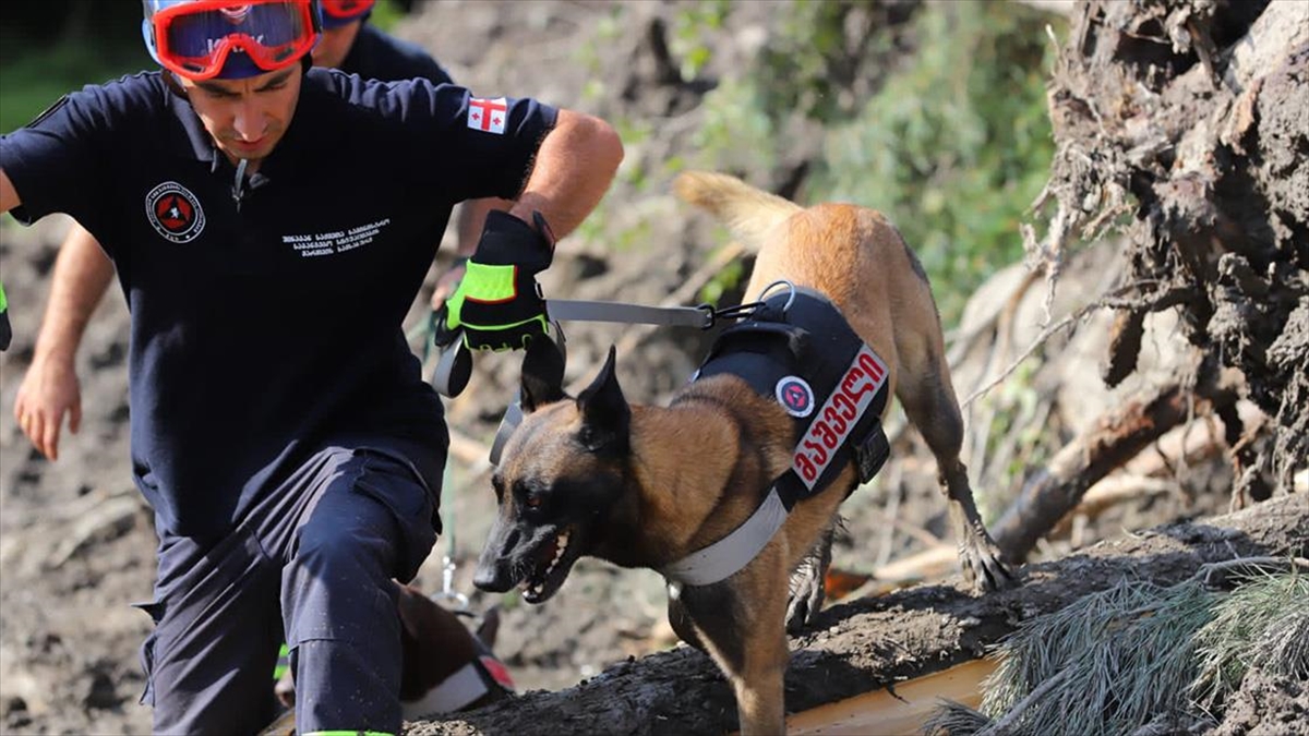 Gürcistan'ın Tatil Beldesi Şovi'deki Heyelanda Can Kaybı 17'ye Yükseldi