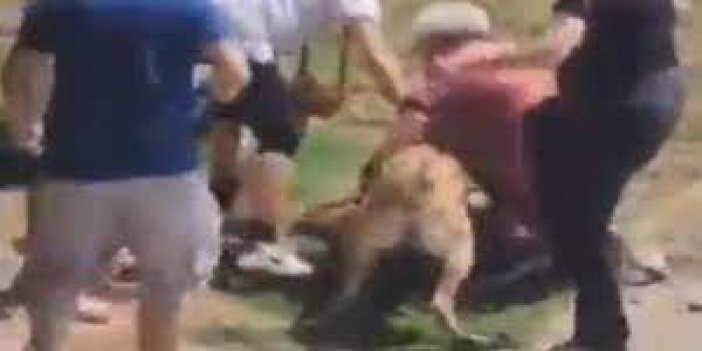 Sokağa tasmasız bırakılan köpek, yaşlı çifti parçaladı!