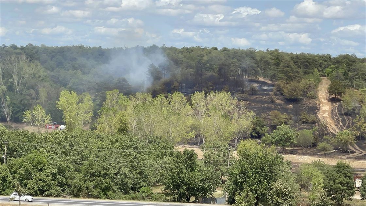 Tekirdağ'da Ormanlık Alanda Çıkan Yangın Söndürüldü