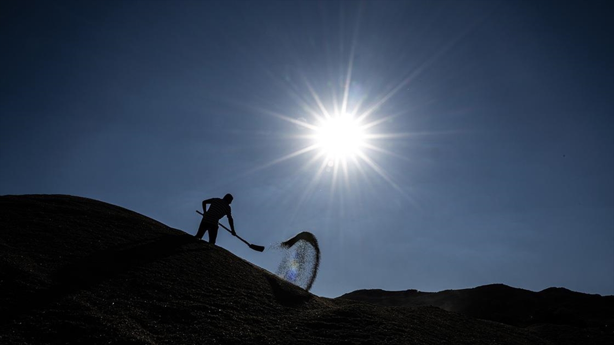 Kavurucu Sıcaklara Rağmen Çiftçiler Tarlada Zorlu Mesaisini Sürdürüyor