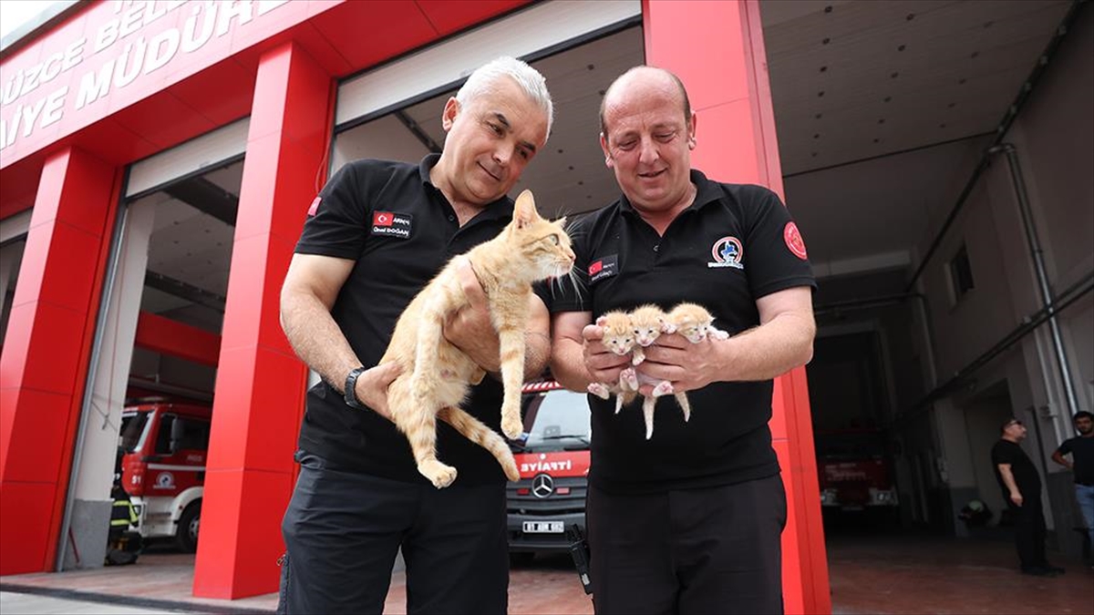 Anne Kedi İle 3 Yavrusuna İtfaiyeciler Sahip Çıktı