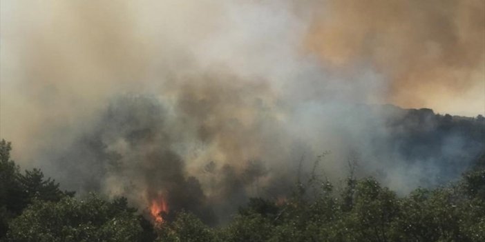 Afyonkarahisar'da Çıkan Orman Yangınına Müdahale Ediliyor