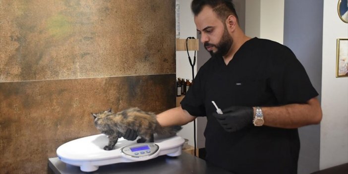 Kerküklü Veteriner Kurduğu Rehabilitasyon Merkezinde Sokak Hayvanlarını Tedavi Ediyor
