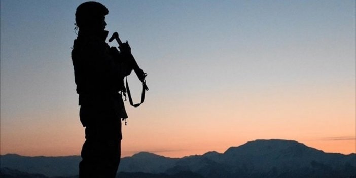 Türkiye'ye Girmeye Çalışan Pkk'lı 2 Terörist Suriye Sınırında Yakalandı