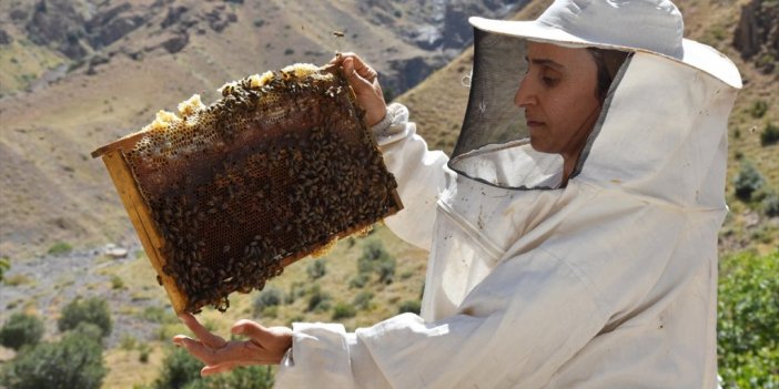 Kooperatif Kuran Hakkarili Kadınlar, Arıcılıkta Söz Sahibi Olmak İstiyor