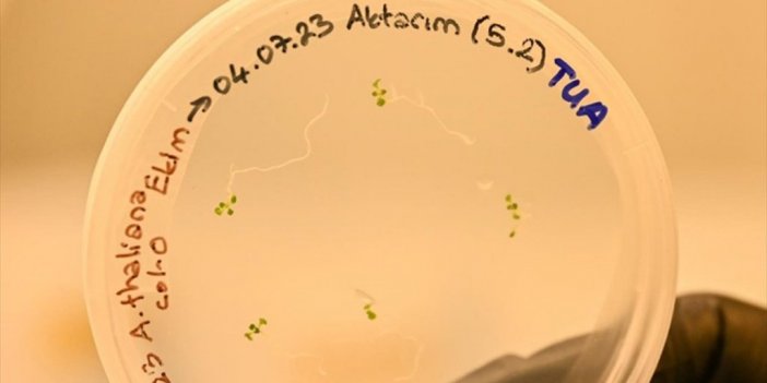 Türk Bilim İnsanları Uzayda Bitki Yetiştirecek