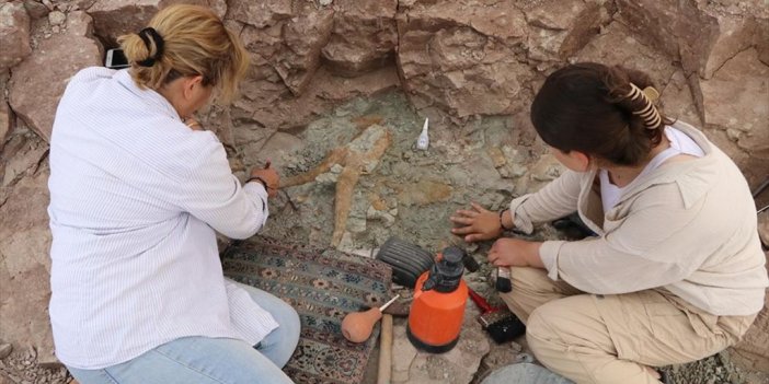 Çankırı'da Yaklaşık 8,5 Milyon Yıllık Fosiller Gün Yüzüne Çıkarılıyor