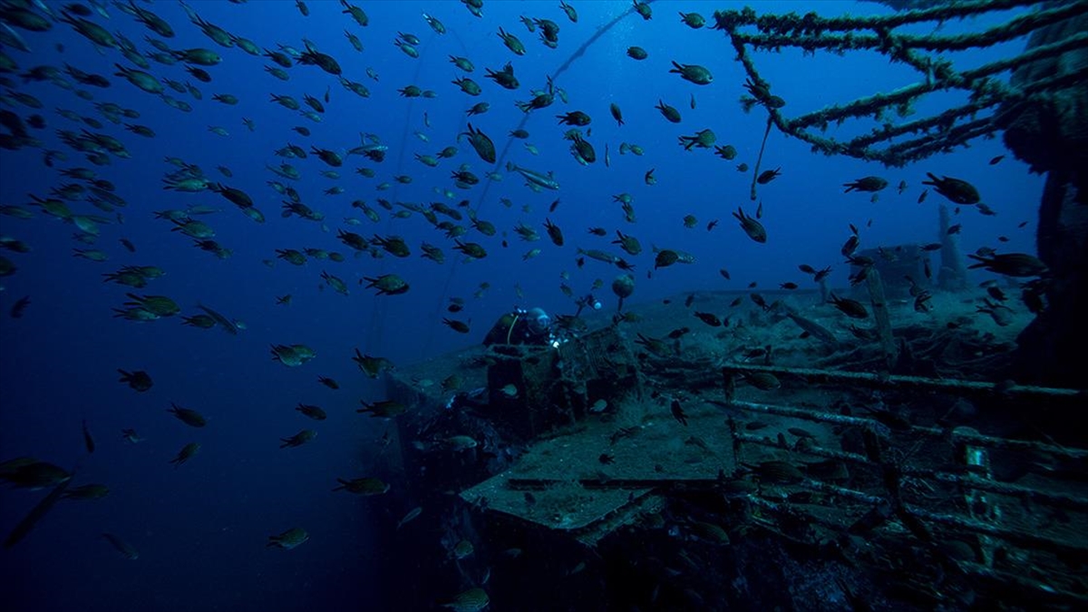 Su Altı Fotoğrafçılarının Aradığı Kareler İzmir Kıyılarında