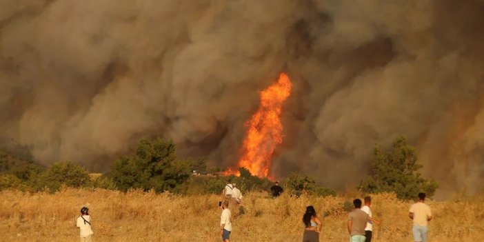 Çanakkale'de orman yangını