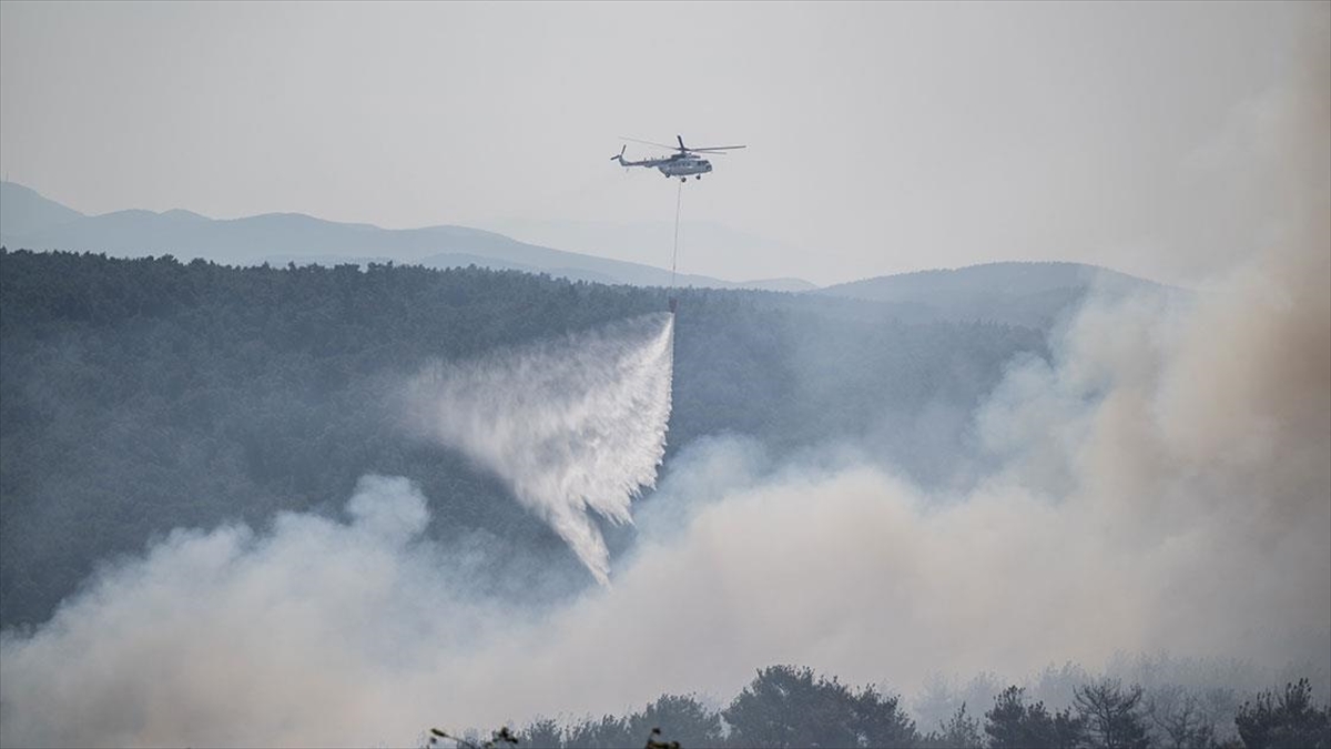Çanakkale'de İki Köy Arasında Rüzgarla Yeniden Alevlenen Yangına Müdahale Ediliyor