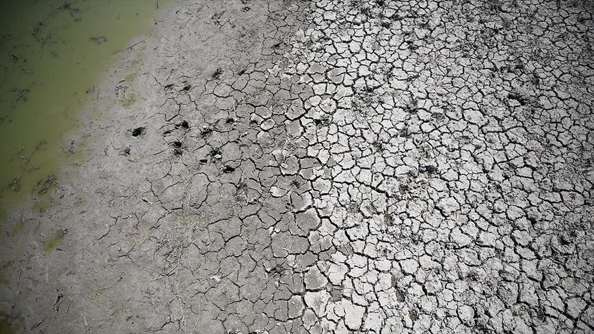 Avlan Gölü'nde Suların Çekildiği Bölüm Otlak Haline Geldi