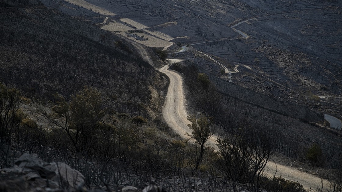 Fransa'da Süren Yangınlarda 35 Hektar Alan Zarar Gördü