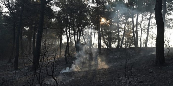 Çanakkale'deki Orman Yangını Kontrol Altına Alındı