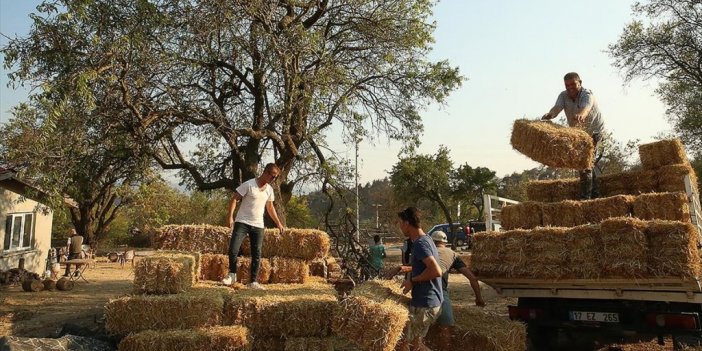 Çanakkale'deki Yangında Meralarını Da Kaybeden Köylülere Yem Desteği Veriliyor