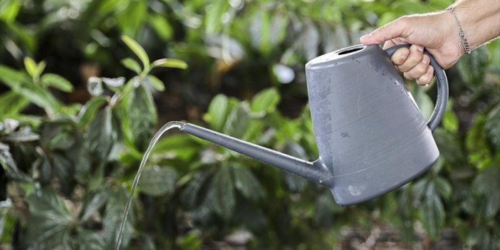 İstanbul'da Barajların Su Seviyesi Vatandaşı Tasarrufa Yöneltti