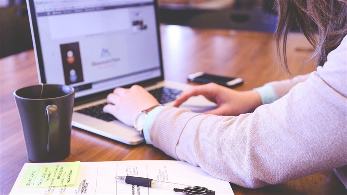 Türkiye'de İnternet Kullananların Oranı Bu Yıl Yüzde 87,1'e Yükseldi