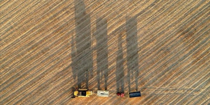 Tmo'nun Hububat Alım Rekoru "bereketli Sezon" İle Geldi